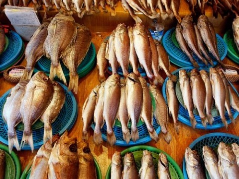 Cận cảnh khu chợ hải sản Jagalchi lớn nhất Đông Bắc Á