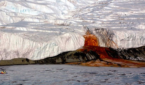 Hiện tượng Băng chảy máu ở Antarctia là do sắt oxit gây ra nước chảy ra ngoài có  màu đỏ như máu.