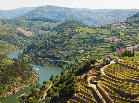 Thung lũng Douro ở Bồ Đào Nha