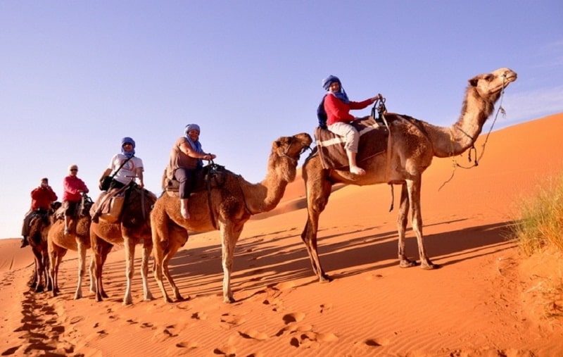 Du khách sẽ được trải nghiệm cưỡi lạc đà khi đến với sa mạc Doha