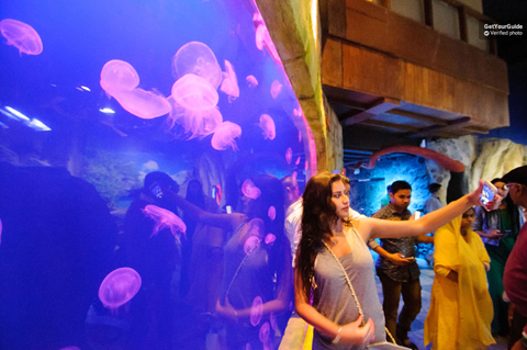 Aquarium Dubai nằm ở tầng 3, thu hút rất đông du khách tham quan.