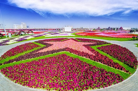 Vườn hoa diệu kỳ Miracle garden ở Dubai 