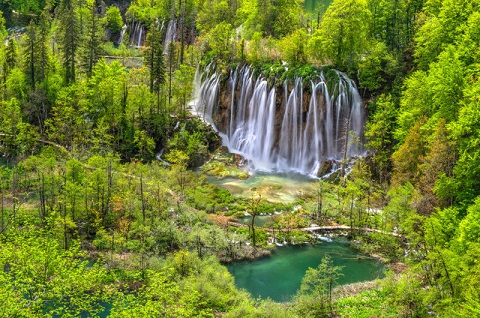 Cảnh rừng rậm tuyệt đẹp của vườn quốc gia Plitvice