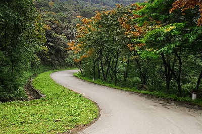 Con đường nhỏ ở vườn quốc gia Ba Vì