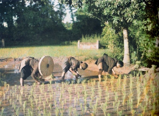 Hình ảnh Việt Nam 100 năm trước