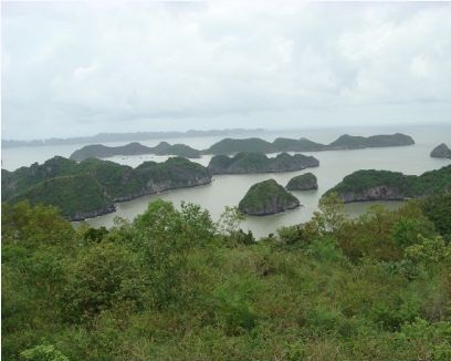 Đảo Cát Cò nhìn từ trên cao
