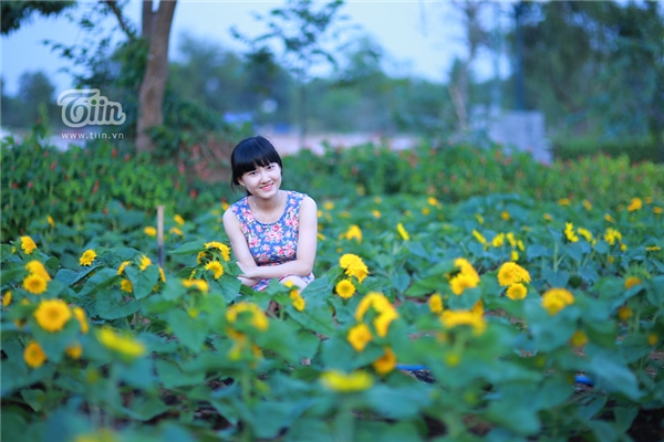 Vườn hướng dương cách Sài Gòn 35km hấp dẫn giới trẻ