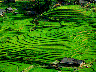 Vẻ đẹp quyến rũ thung lũng Mường Hoa