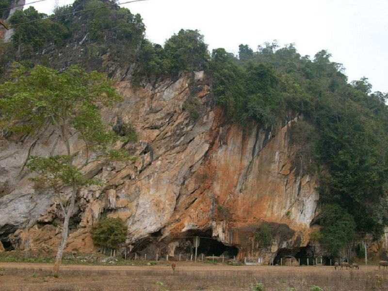 Xung quanh Hang Bua cây cối tươi tốt