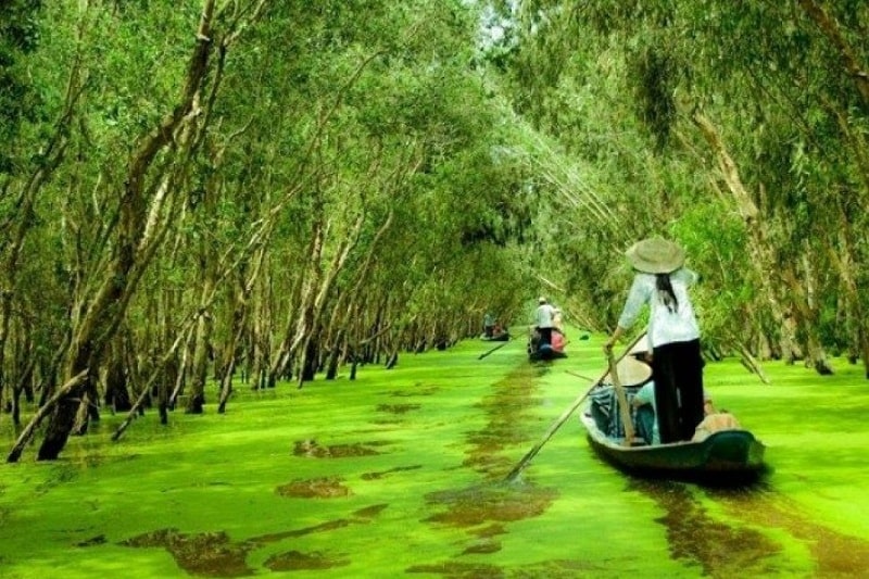 Chèo thuyền trên những con rạch bên trong khu sinh thái thu hút khách du lịch