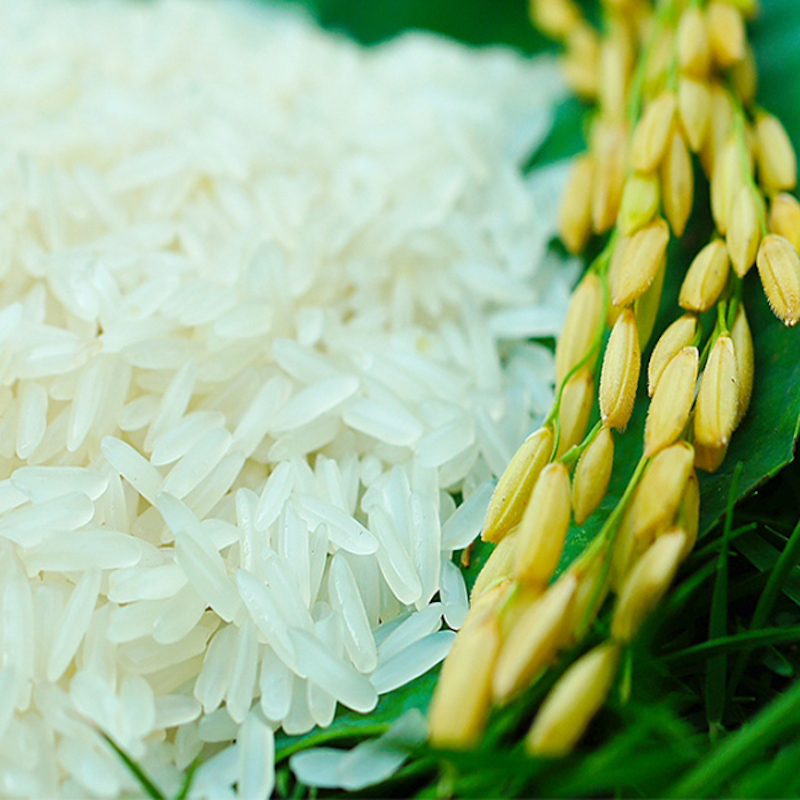 Gạo mới gặt sau mùa vụ, lúc chà xong có một lớp cám bên ngoài giống dư lớp dầu, cho tay vào bao giơ tay lên gạo còn bám trên tay những hạt mịn