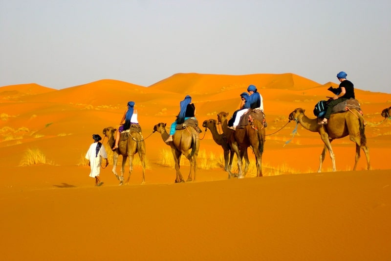 Sa mạc Gobi được xem là trái tim của Mông Cổ