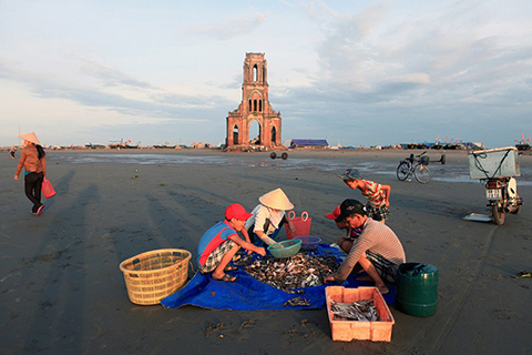 cảnh mua bán hải sản ở biển Xương Điền Nam Định