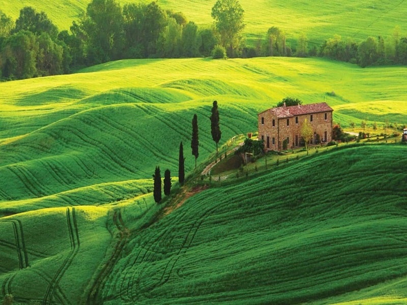 Quang cảnh ở Tuscany khiến du khách nao lòng