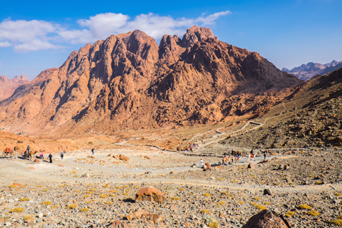 Sa mạc Sinai