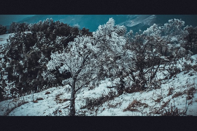 Tuyết trắng tinh khôi trên đỉnh Mẫu Sơn