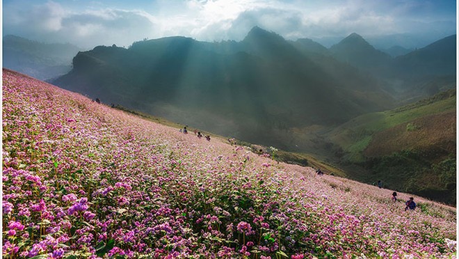 Tổng hợp với hơn 106 cảnh thiên nhiên hình nền phong cảnh hay nhất - Tin  học Đông Hòa