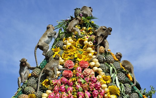 Lễ hội khỉ ở Thái Lan 