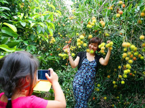 Miệt vườn L&aacute;i Thi&ecirc;u - B&igrave;nh Dương