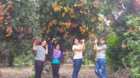 Vườn tr&aacute;i c&acirc;y Long Kh&aacute;nh &ndash; Đồng Nai