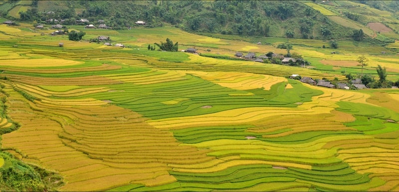 Vẻ đẹp bao la nhưng không kém phần thơ mộng của Yên Bái