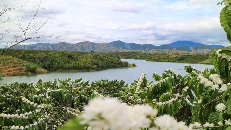 Đến Indochine thưởng thức ly cà phê Tây Nguyên