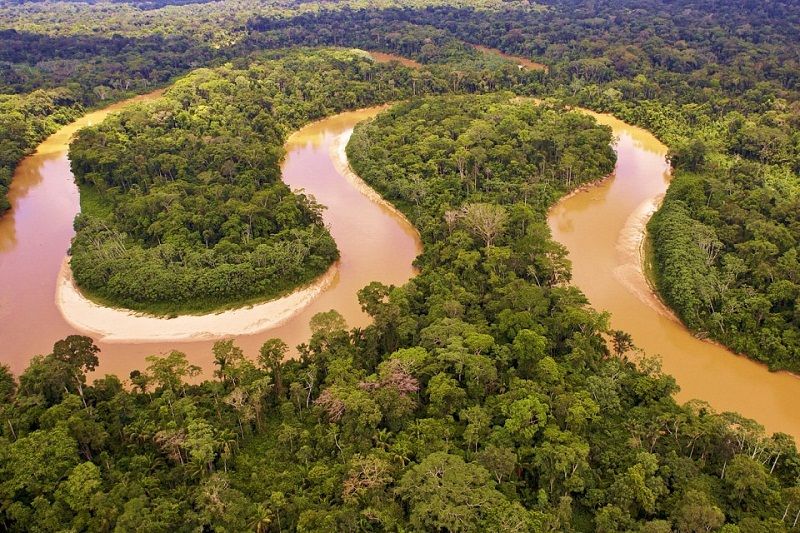 bí mật sông Amazon 