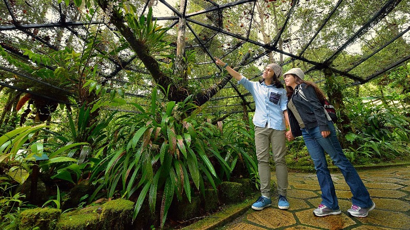 Vườn bách thảo Kinabalu Park