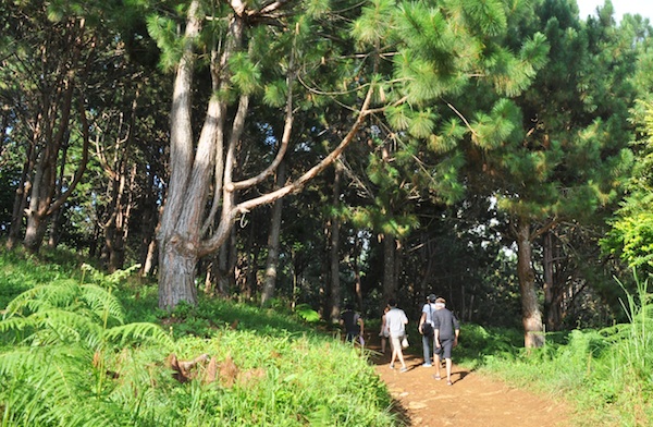 Khám phá vẻ đẹp ngôi làng Tibolo ở Philippines