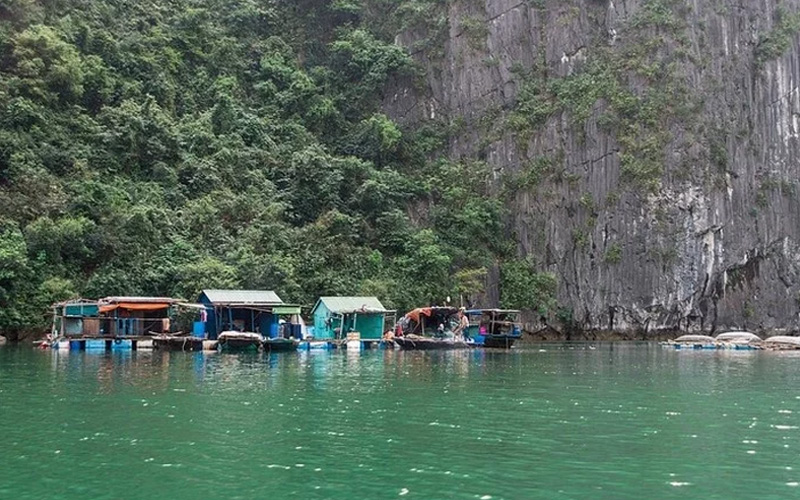 Khám phá làng chài Việt Hải – chốn bình yên, thơ mộng trên đảo Cát Bà