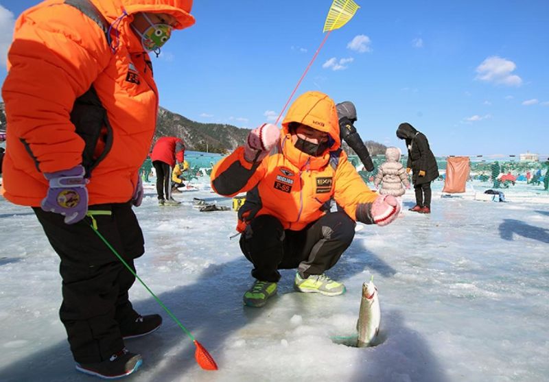 lễ hội câu cá hồi trên sông băng