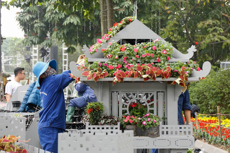 lễ hội hoa anh đào Nhật Bản 