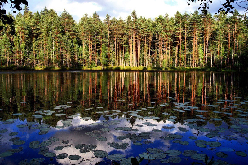 Đây là những lý do bạn nên thăm nước Finland – Phần Lan