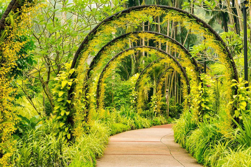 “Mục sở thị” 7 vườn lan đẹp nhất thế giới