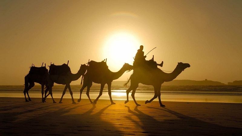 Người Ma-rốc sống ở sa mạc Sahara khắc nghiệt