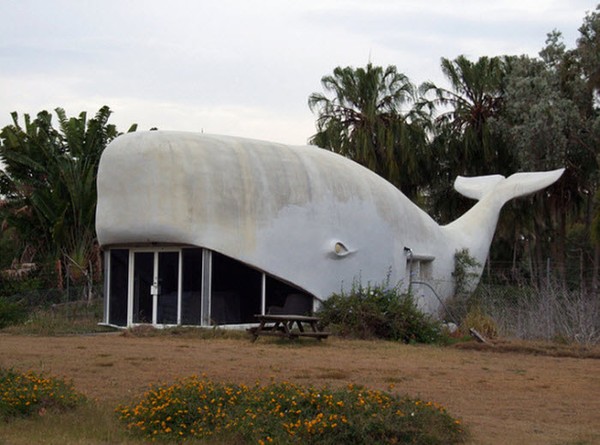 Tòa nhà hình cá voi.
