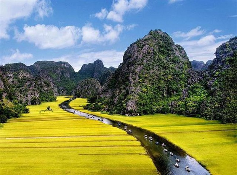 4 địa điểm ngắm đồng lúa chín vàng đẹp như tranh vẽ ở Việt Nam