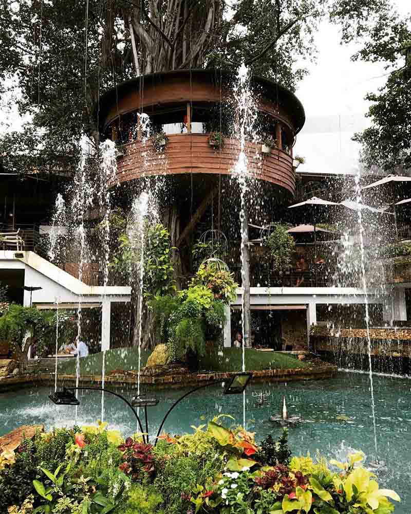Xiêu lòng với quán cà phê treo trên cây tựa khu vườn nhiệt đới ngay giữa Sài Thành