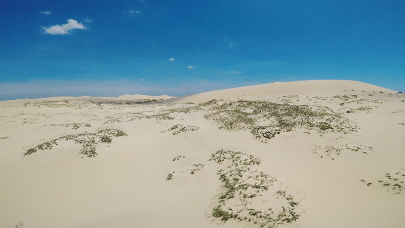 Cồn cát cho người ta liên tưởng đến sa mạc trắng