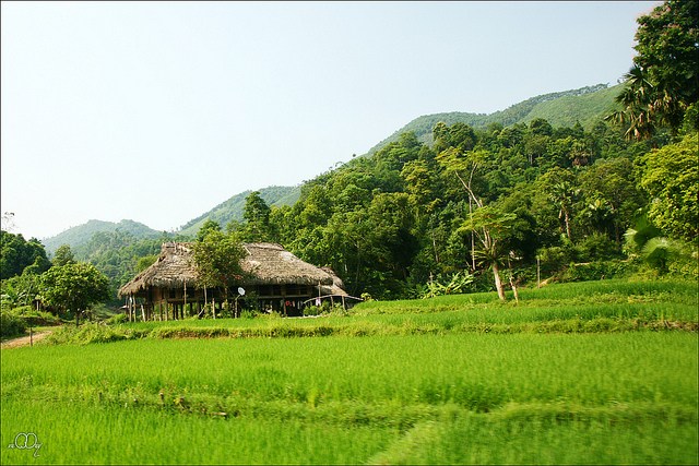 Nét đẹp bình dị của làng quê Việt Nam