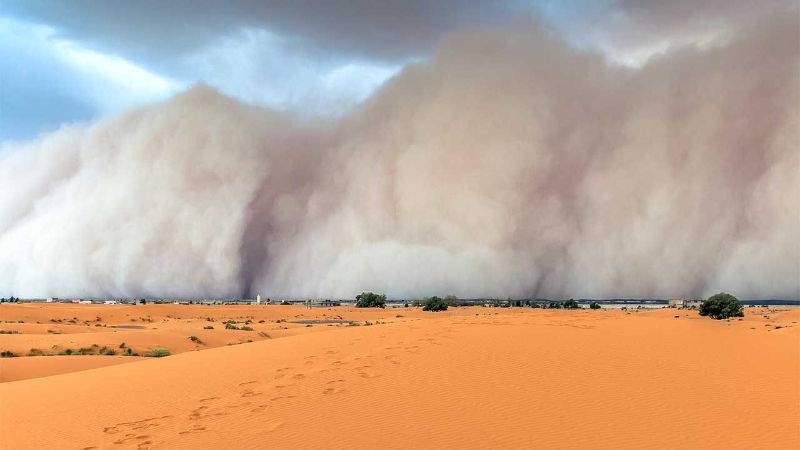 Sa mạc Sahara