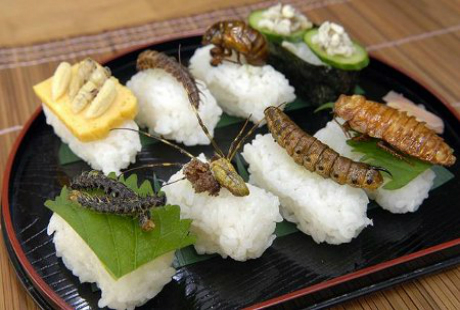 Sushi côn trùng