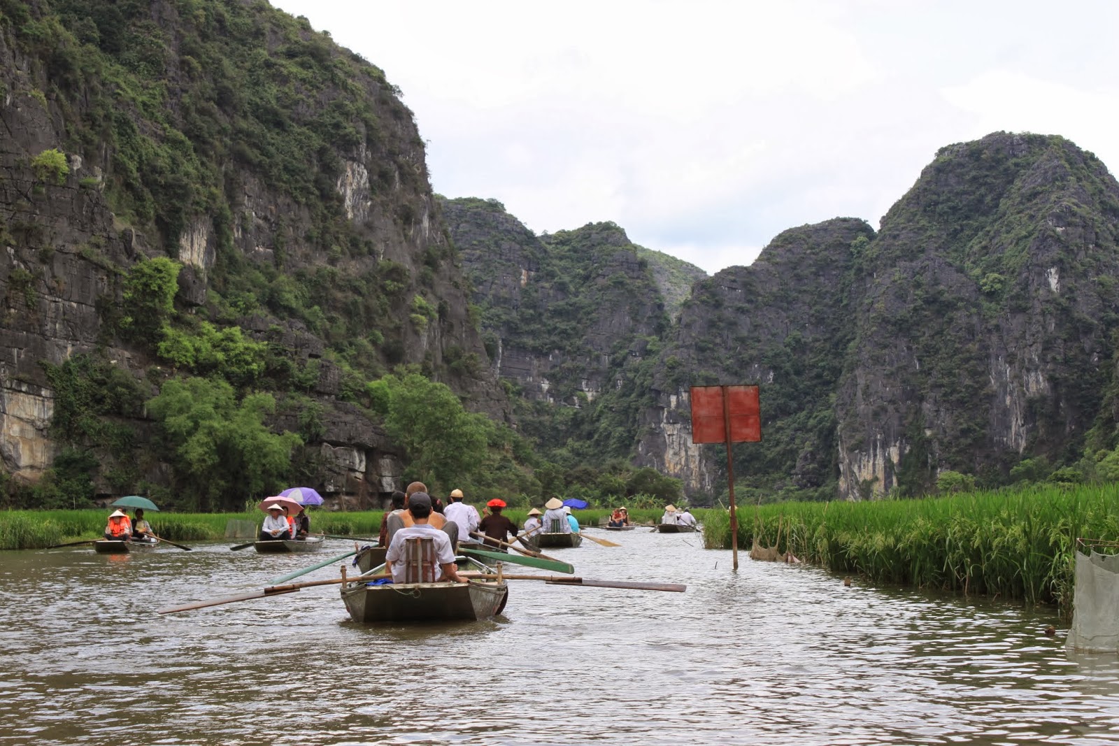 Sông Ngô Đồng