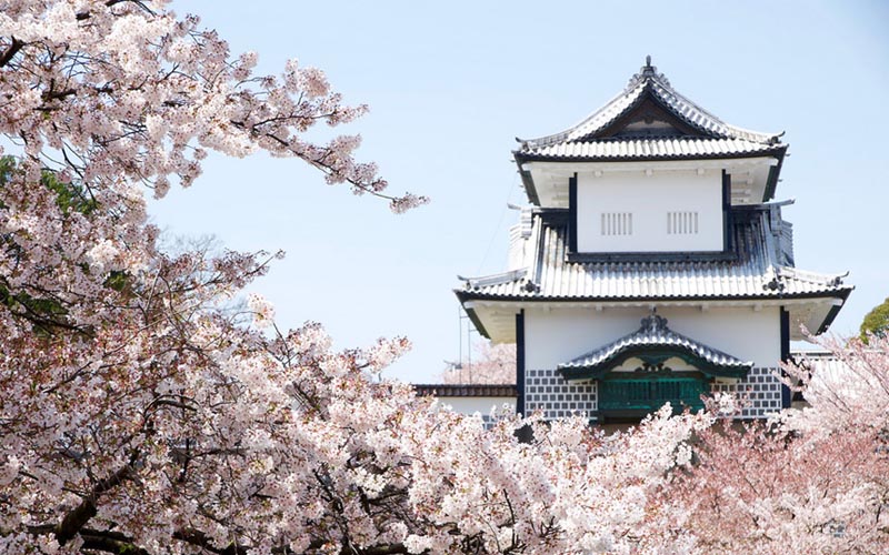 Đến Nhật Bản vào mùa xuân đừng bỏ qua 5 thành phố này