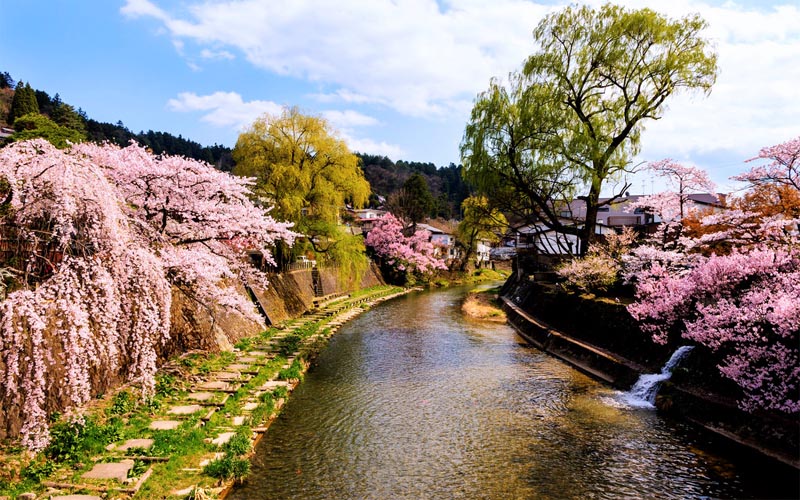 Đến Nhật Bản vào mùa xuân đừng bỏ qua 5 thành phố này