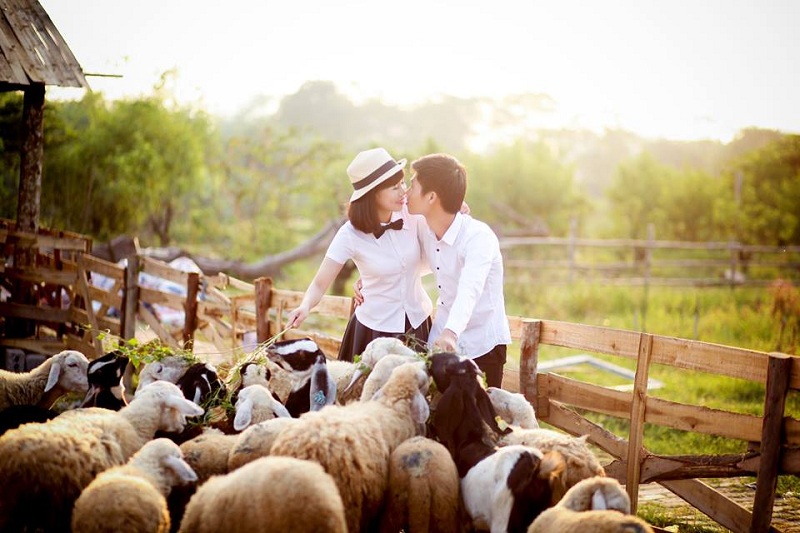 Thảo nguyên hoa Long Biên - nơi cho ra đời những bức ảnh cưới siêu lãng mạn