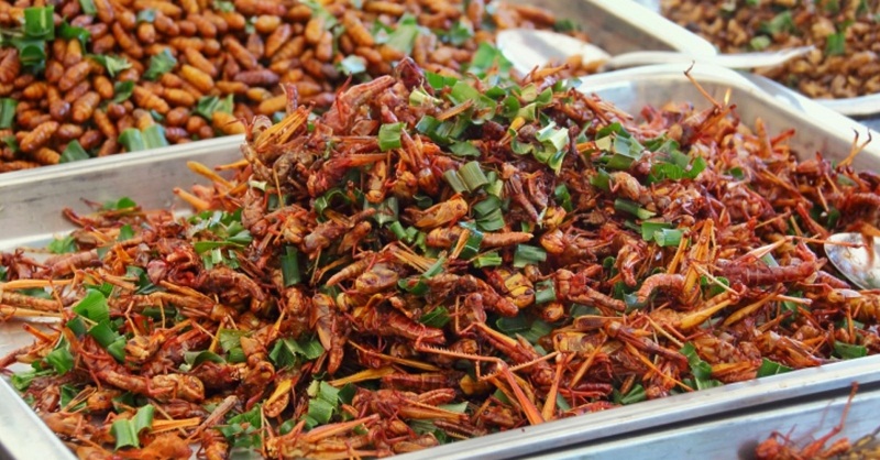 ăn côn trùng ở Thái Lan 