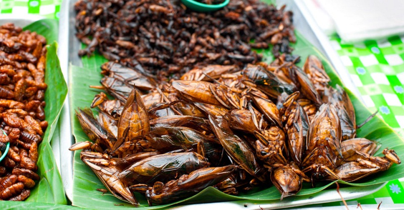 ăn côn trùng ở Thái Lan 