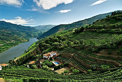 Douro – Thung lũng trồng nho nổi tiếng Bồ Đào Nha 