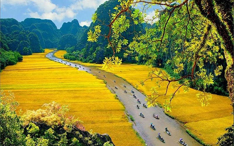 Tuần Du lịch Ninh Bình 2019 với chủ đề “Sắc vàng Tam Cốc - Tràng An”